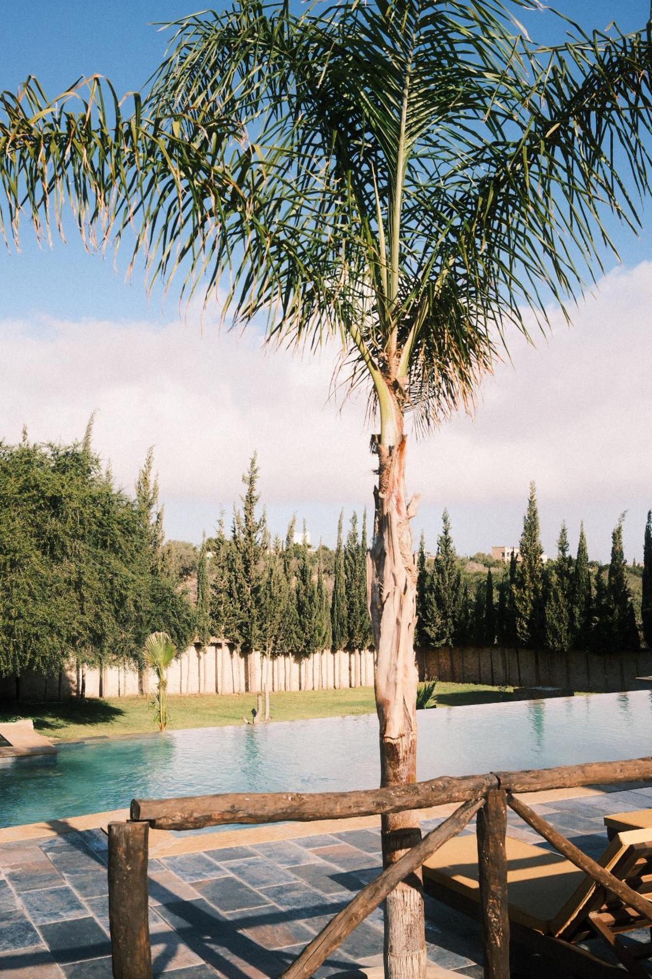 Villa Amma الصويرة المظهر الخارجي الصورة